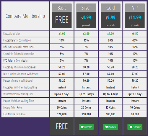 VIP membership model at Earnbitmoon